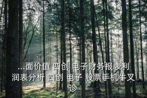 ...面價(jià)值 四創(chuàng) 電子財(cái)務(wù)報(bào)表利潤表分析 四創(chuàng) 電子 股票手機(jī)牛叉診