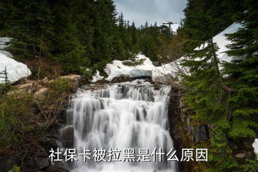 北京醫(yī)保卡黑名單,醫(yī)?？A(yù)約被列入黑名單怎么解除