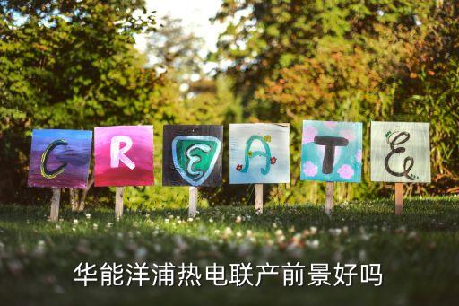 華能洋浦熱電聯(lián)產前景好嗎