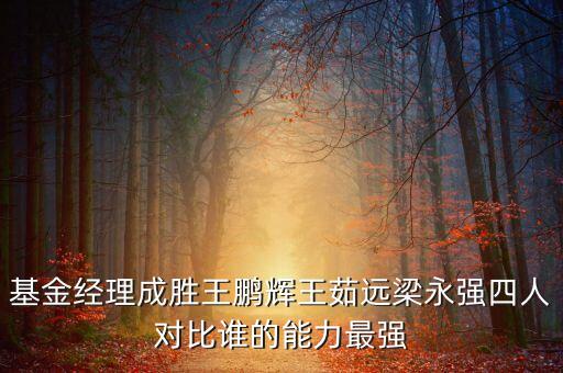 基金經理成勝王鵬輝王茹遠梁永強四人對比誰的能力最強