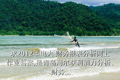 求2012年電大 財(cái)務(wù)報(bào)表分析網(wǎng)上作業(yè)答案,是青島海爾獲利能力分析、 財(cái)務(wù)...