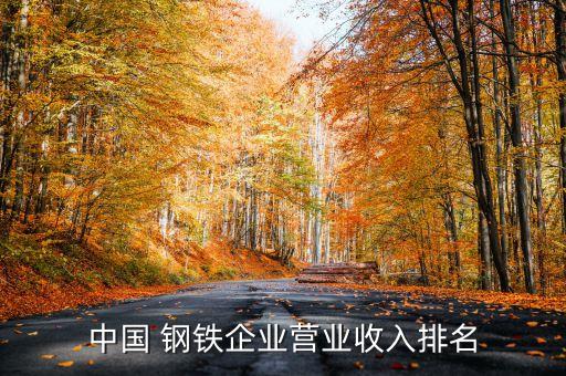 河北鋼鐵集團盈利,河北前進鋼鐵集團有限公司