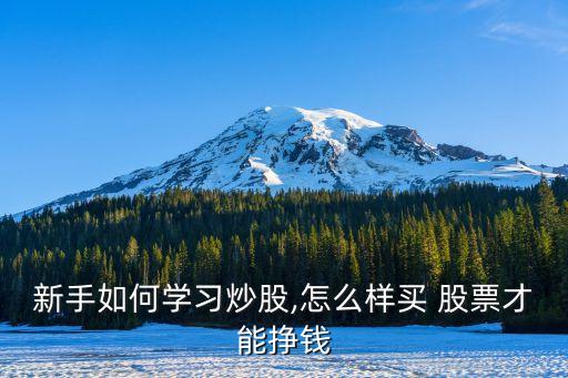 新手如何學(xué)習(xí)炒股,怎么樣買(mǎi) 股票才能掙錢(qián)
