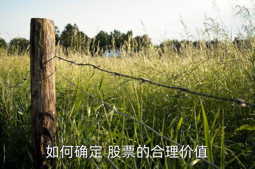上述材料啟示我們關注股票價格