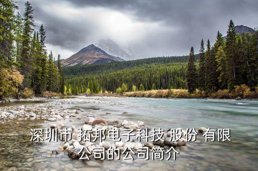  深圳市 拓邦電子科技 股份 有限公司的公司簡(jiǎn)介