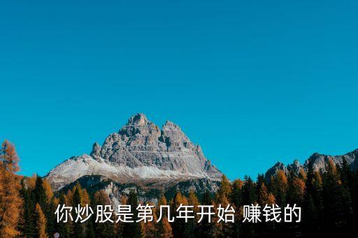 你炒股是第幾年開(kāi)始 賺錢(qián)的