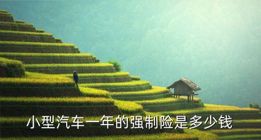 小型汽車(chē)一年的強(qiáng)制險(xiǎn)是多少錢(qián)