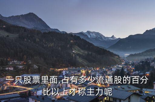 一只股票里面,占有多少流通股的百分比以上才稱(chēng)主力呢