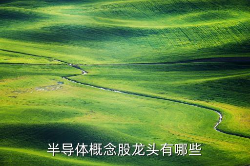 半導體概念股龍頭有哪些