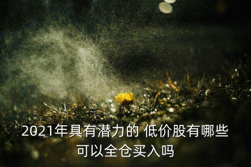 2021年具有潛力的 低價股有哪些可以全倉買入嗎
