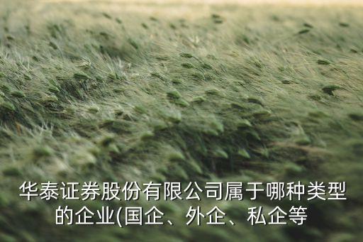  華泰證券股份有限公司屬于哪種類型的企業(yè)(國企、外企、私企等