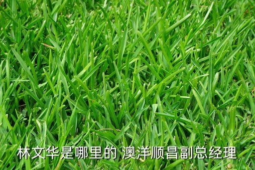 澳洋光電技術(shù)有限公司,淮安澳洋順昌光電技術(shù)有限公司是國(guó)企嗎