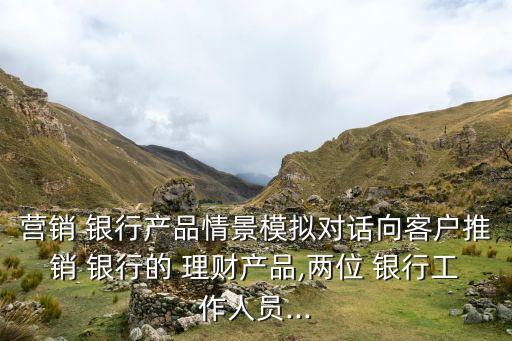 營(yíng)銷 銀行產(chǎn)品情景模擬對(duì)話向客戶推銷 銀行的 理財(cái)產(chǎn)品,兩位 銀行工作人員...