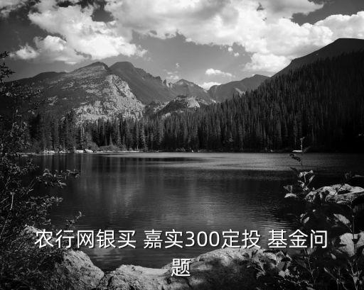 農(nóng)行網(wǎng)銀買 嘉實(shí)300定投 基金問(wèn)題