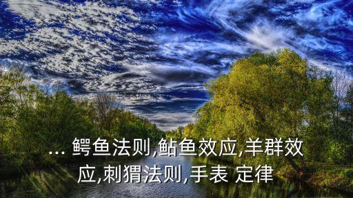 股票鱷魚(yú)定律,小鱷魚(yú)進(jìn)去的股票第二天怎么樣