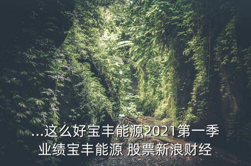 ...這么好寶豐能源2021第一季業(yè)績寶豐能源 股票新浪財(cái)經(jīng)