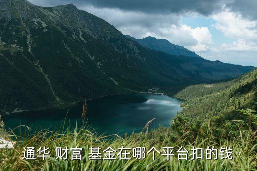 通華 財(cái)富 基金在哪個(gè)平臺扣的錢