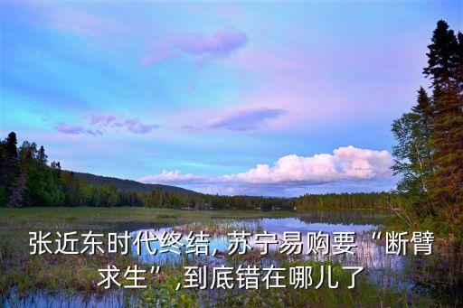 張近東時代終結, 蘇寧易購要“斷臂求生”,到底錯在哪兒了