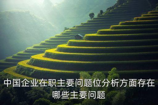 中國(guó)企業(yè)在職主要問題位分析方面存在哪些主要問題