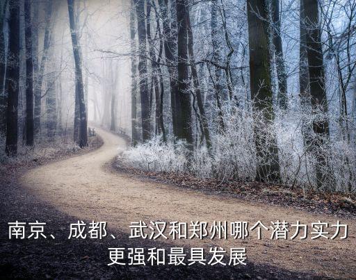 南京、成都、武漢和鄭州哪個(gè)潛力實(shí)力更強(qiáng)和最具發(fā)展