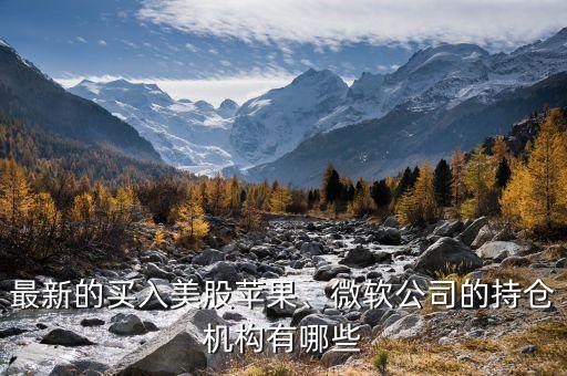 最新的買入美股蘋果、微軟公司的持倉機構(gòu)有哪些