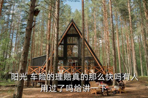  陽(yáng)光 車(chē)險(xiǎn)的理賠真的那么快嗎有人用過(guò)了嗎給講一下