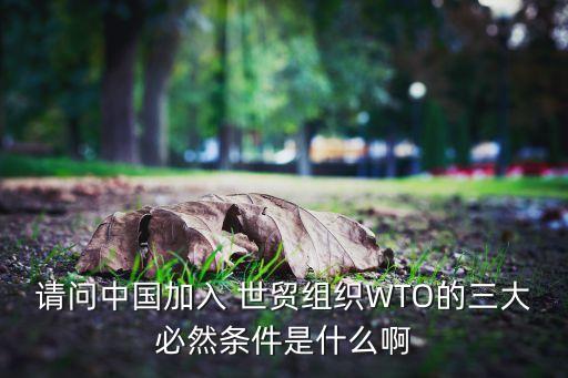 請(qǐng)問中國(guó)加入 世貿(mào)組織WTO的三大必然條件是什么啊