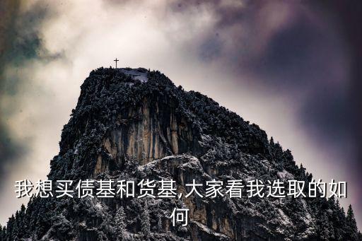 我想買(mǎi)債基和貨基,大家看我選取的如何