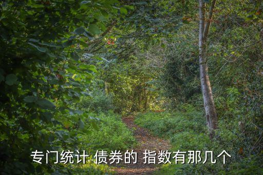 專門(mén)統(tǒng)計(jì) 債券的 指數(shù)有那幾個(gè)