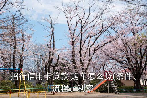 招行信用卡貸款 購車怎么貸(條件、流程、利率