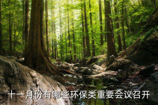 十一月份有哪些環(huán)保類(lèi)重要會(huì)議召開(kāi)