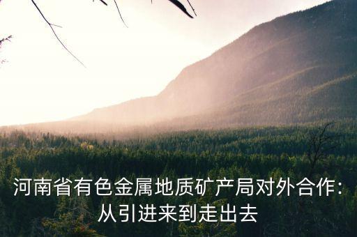 河南省有色金屬地質礦產(chǎn)局對外合作:從引進來到走出去
