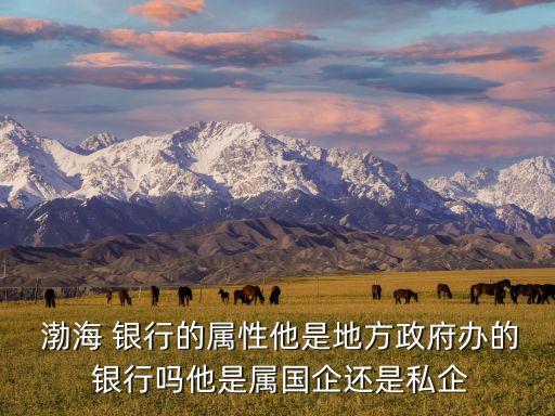  渤海 銀行的屬性他是地方政府辦的 銀行嗎他是屬?lài)?guó)企還是私企