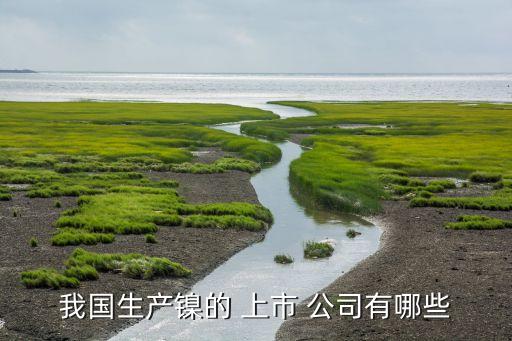我國(guó)生產(chǎn)鎳的 上市 公司有哪些