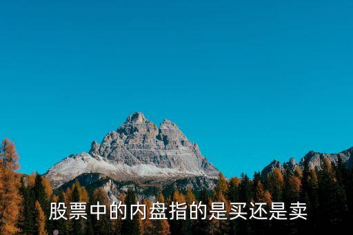 股票中的內(nèi)盤(pán)指的是買還是賣