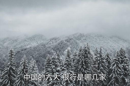 中國的六大 銀行是哪幾家