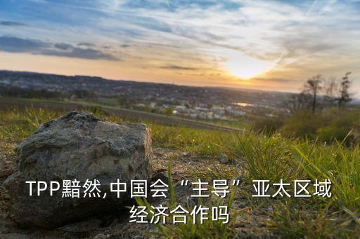 TPP黯然,中國會“主導”亞太區(qū)域經濟合作嗎