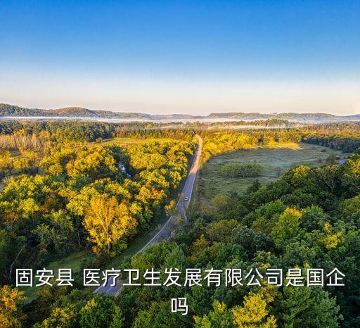 固安縣 醫(yī)療衛(wèi)生發(fā)展有限公司是國(guó)企嗎