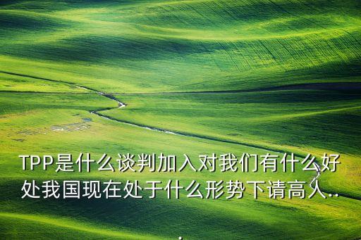 TPP是什么談判加入對我們有什么好處我國現在處于什么形勢下請高人...