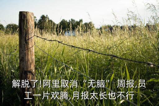 解脫了!阿里取消“無(wú)腦” 周報(bào),員工一片歡騰,月報(bào)太長(zhǎng)也不行