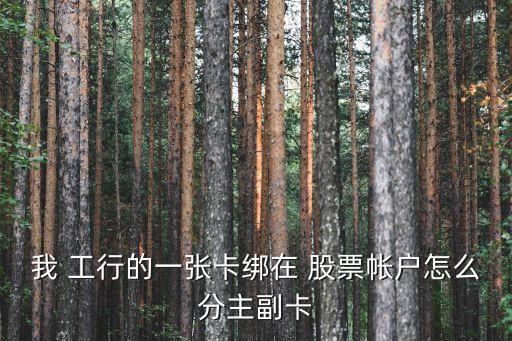 我 工行的一張卡綁在 股票帳戶(hù)怎么分主副卡