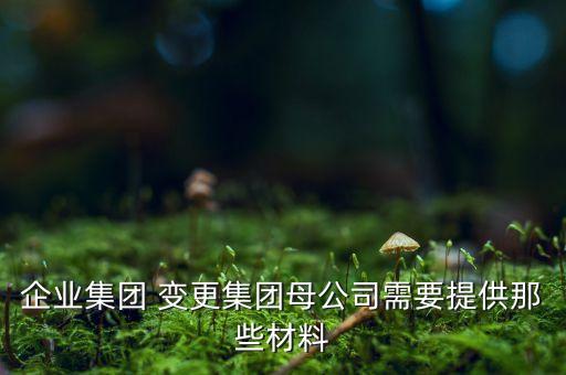 企業(yè)集團 變更集團母公司需要提供那些材料