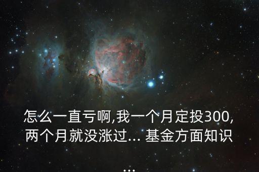 怎么一直虧啊,我一個(gè)月定投300,兩個(gè)月就沒(méi)漲過(guò)... 基金方面知識(shí)...