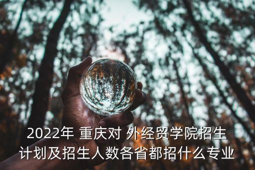 2022年 重慶對 外經(jīng)貿(mào)學(xué)院招生計(jì)劃及招生人數(shù)各省都招什么專業(yè)