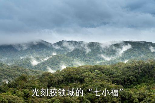 光刻膠領(lǐng)域的“七小福”