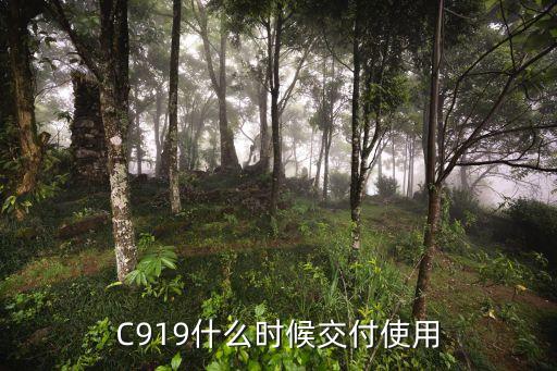 C919什么時(shí)候交付使用