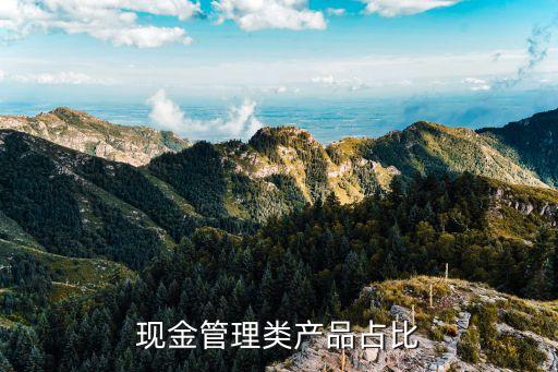 現(xiàn)金管理類(lèi)產(chǎn)品占比