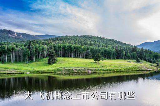 大 飛機(jī)概念上市公司有哪些