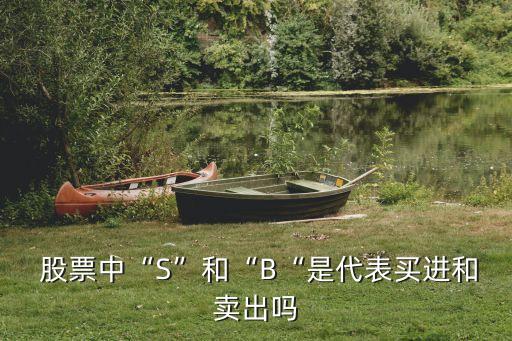  股票中“S”和“B“是代表買進(jìn)和賣出嗎