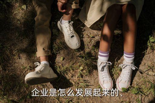 企業(yè)是怎么發(fā)展起來的、